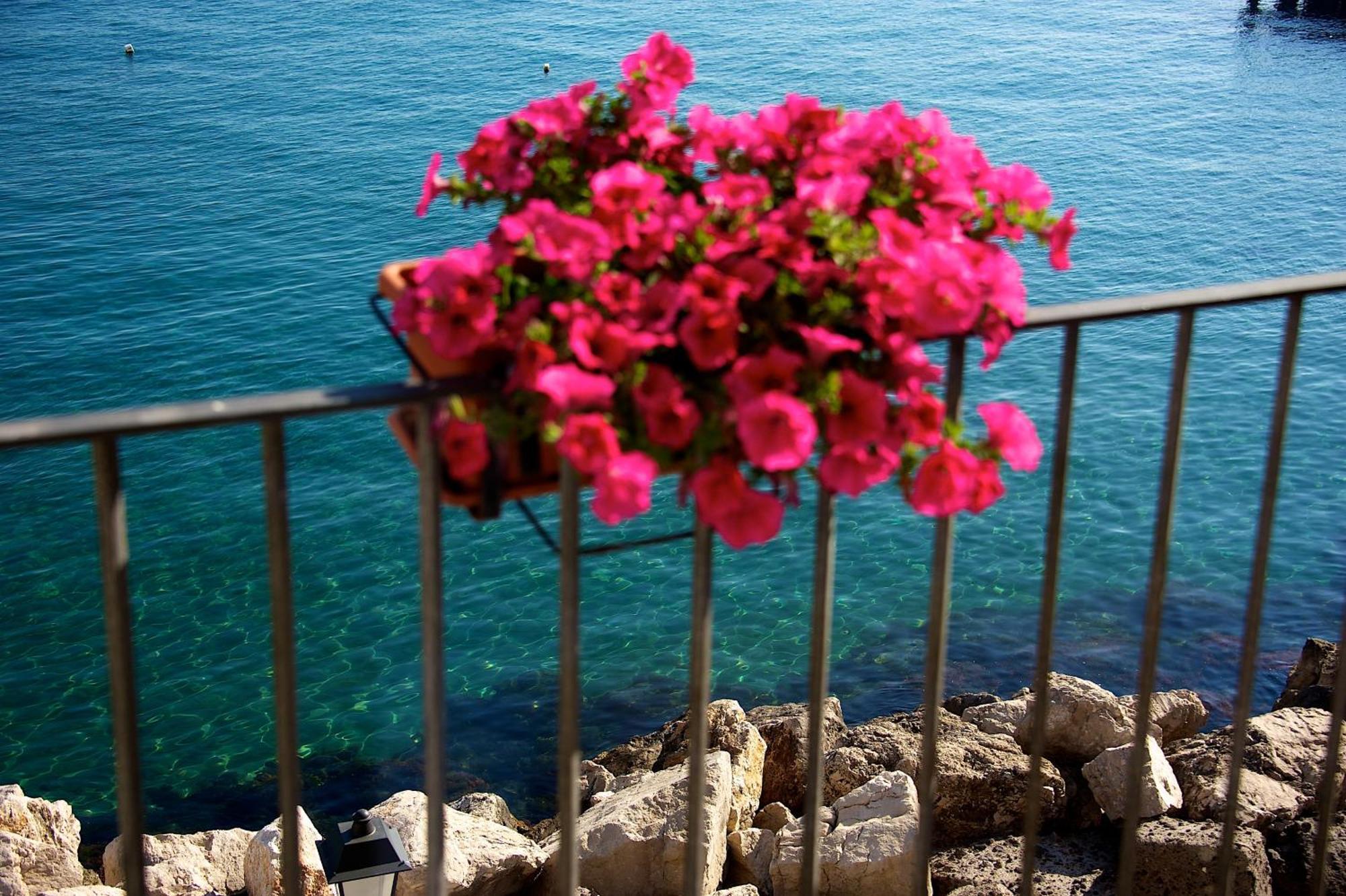 Villa Lieta Ischia Exterior photo